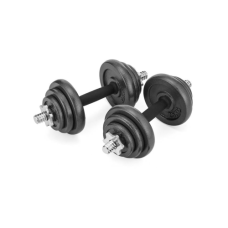 Гантель Gymtek 2 x 10 кг чугун